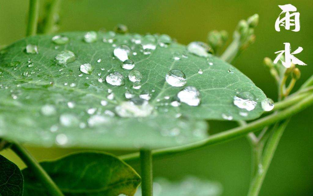 雨水潤(rùn)萬(wàn)物，兼顧沙與泥！